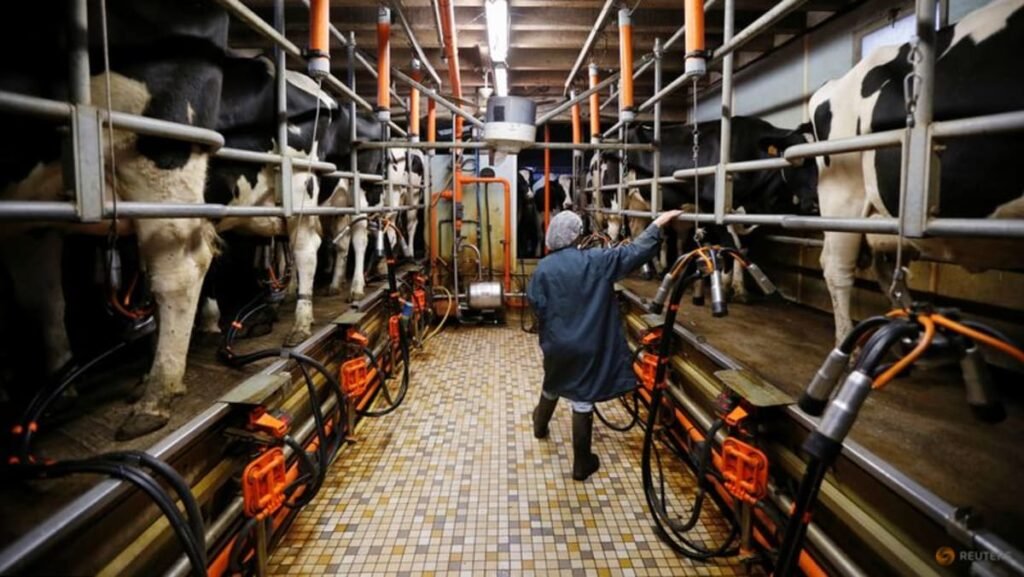 Europe wants to attract younger farmers to address worries of ageing agricultural sector