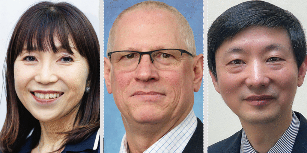 Explore IEEE Board’s Impactful Leadership