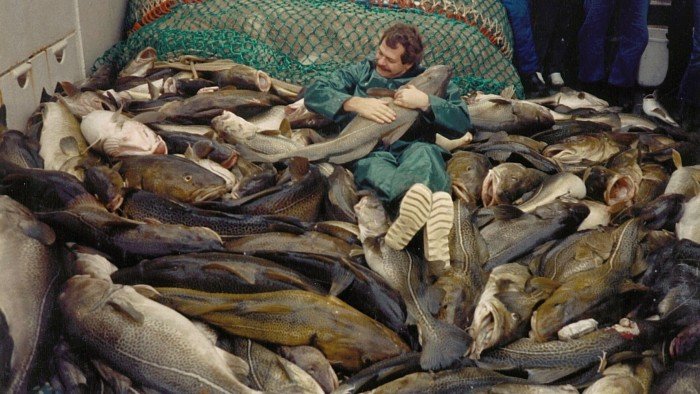 Baltic cod evolve to dodge nets