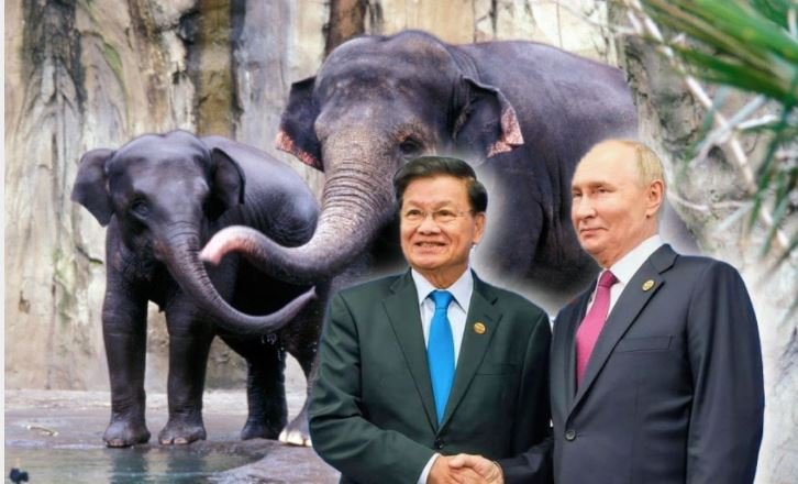 Putin receives two elephants from the president of Laos, a symbolic gift that displays the friendship between Russia and Laos for the 65th Anniversary of diplomatic relations between both nations. | The Gateway Pundit