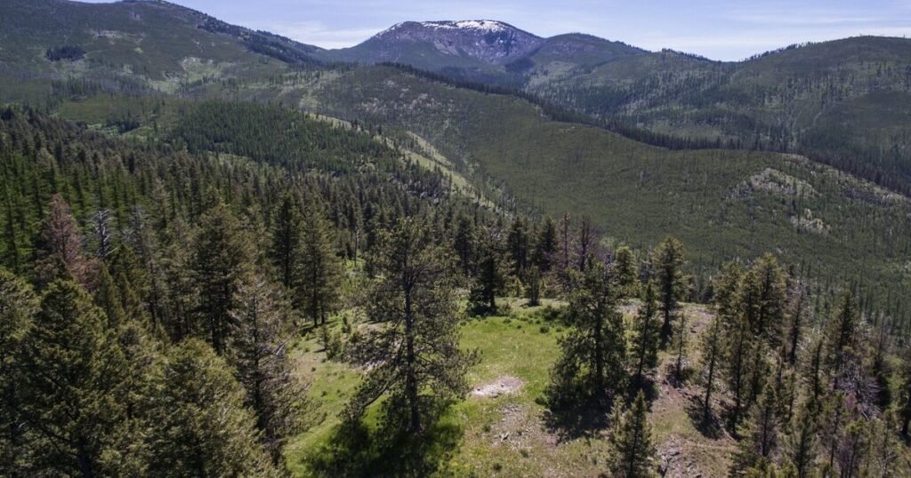 Why the Trump administration shouldn’t rescind the roadless rule