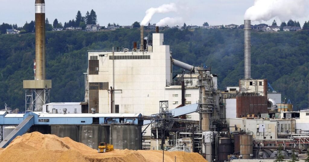 Proceed with caution, care as WA carbon market grows