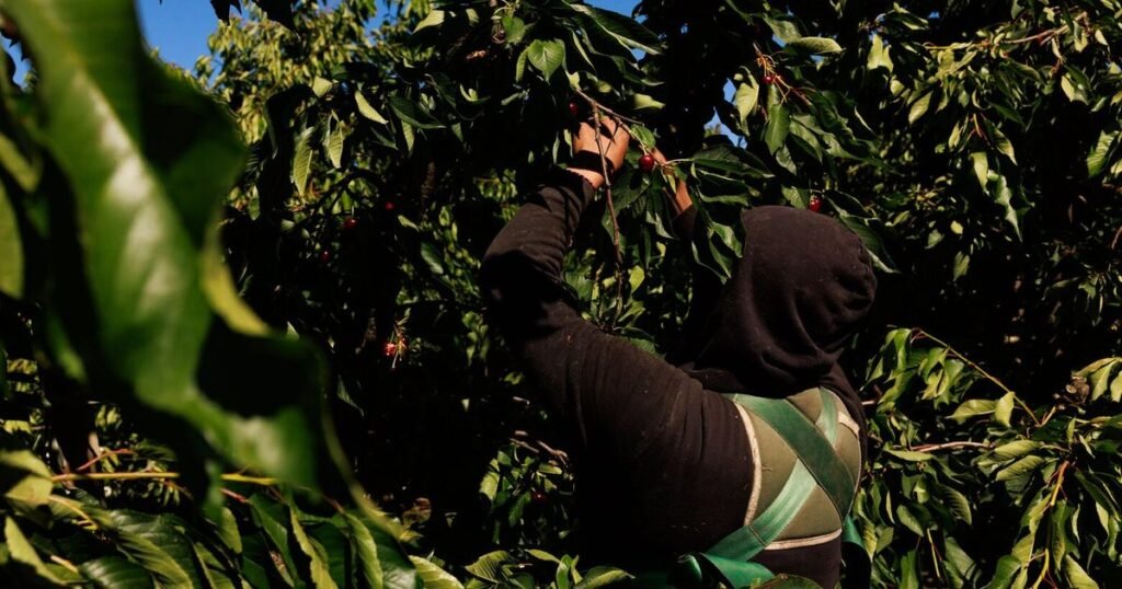 How to help ease our agricultural community’s mental health crisis