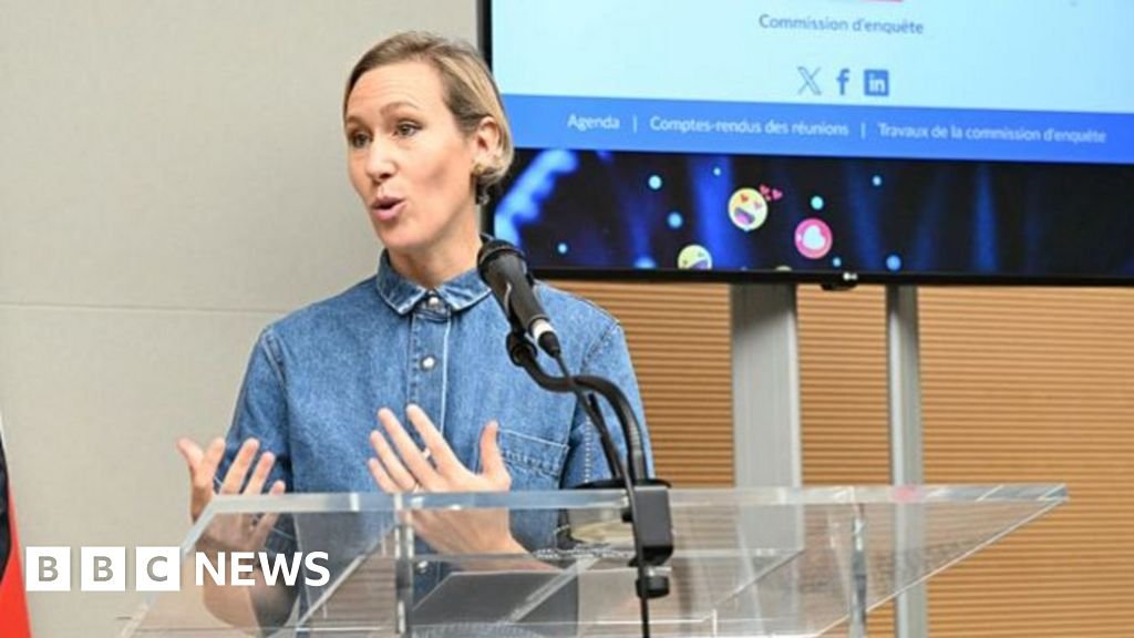 Ban social media for under 15s, says French report warning of TikTok dangers