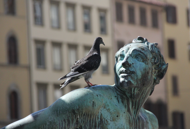 Did Trump Force Zelensky To Back Down?