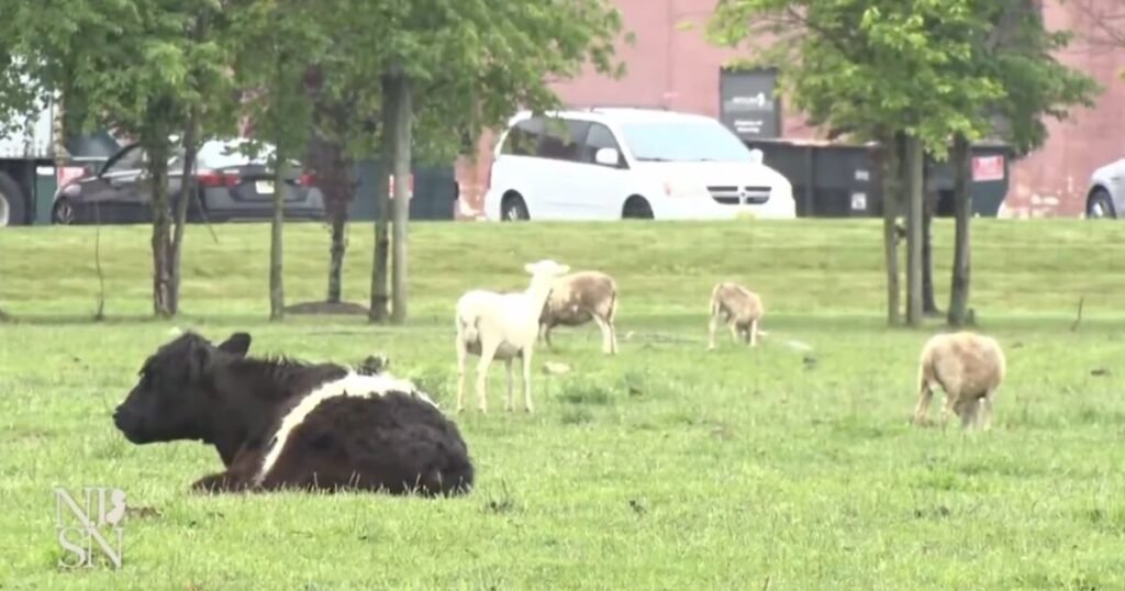 Victory for Family Battling State Efforts to Steal Their 175-year-old Family Farm by Envoking Eminent Domain | The Gateway Pundit
