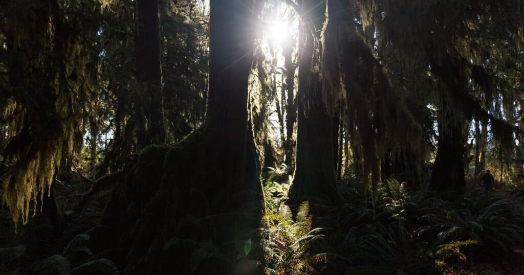 Reject process that failed to produce options for logging near WA streams