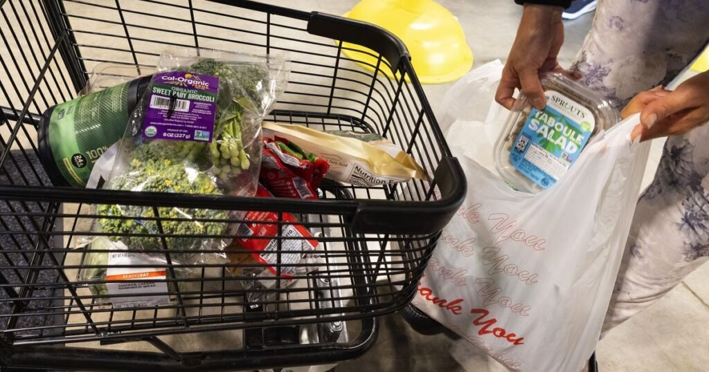 SNAP crisis is proof our social-service sector needs a reset