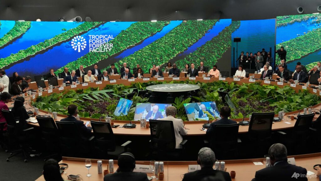 Earth cannot ‘sustain’ intensive fossil fuel use, Lula tells COP30