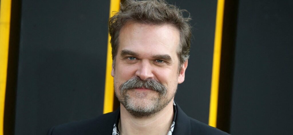 David Harbour Talks Life ‘Mistakes’ Amid Cheating Drama
