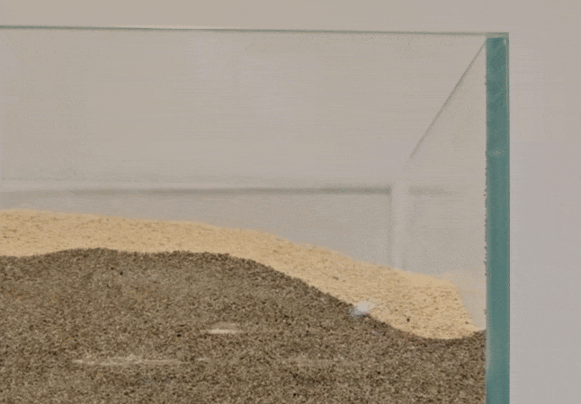 Soft Edible Robot: A Sweet Treat with a Purpose