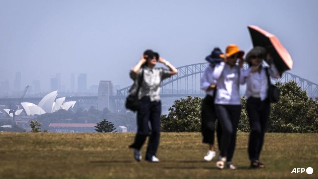 2025 on track to tie second-hottest year on record: EU monitor