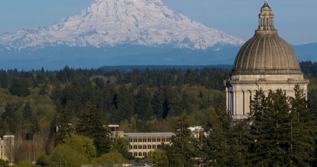 The worrying rise of purity politics in Olympia
