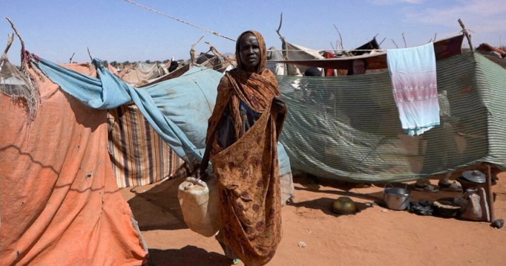 EU launches aid flights to Sudan’s Darfur as humanitarian crisis escalates | Humanitarian Crises News