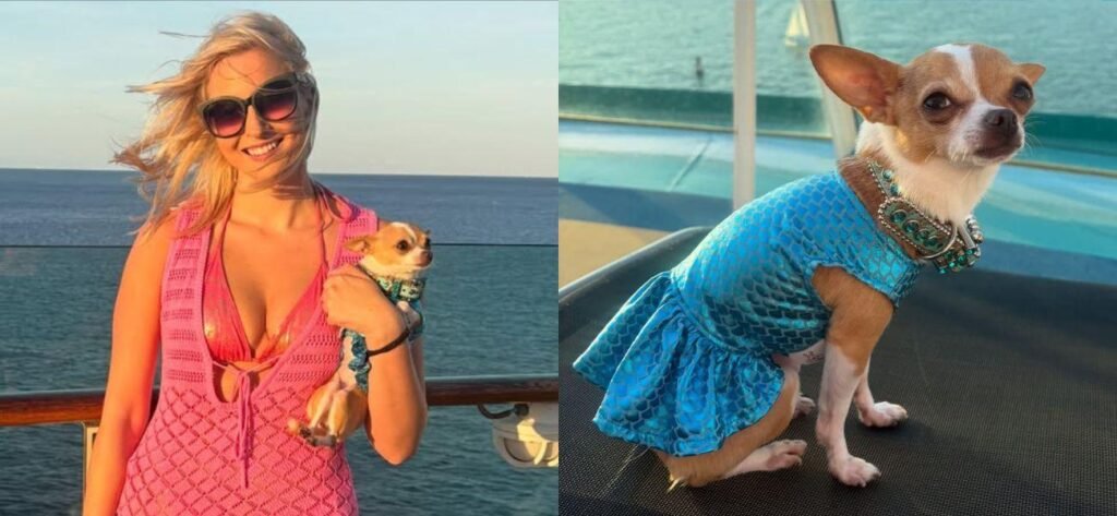 TikTok’s Cutest Traveling Duo, Bruiser & Elle Woods, Just Took Over A Cruise