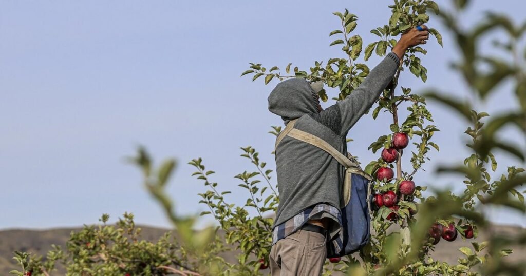 Washington lost 3,700 farms in 5 years: Here’s how to slow the trend