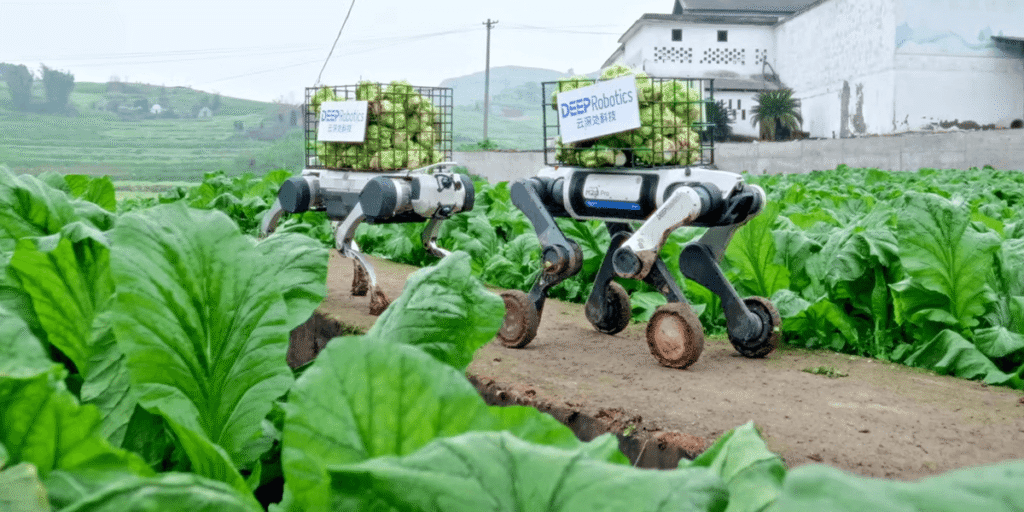 Videos: Farming Robots, Humanoid Robots, and More