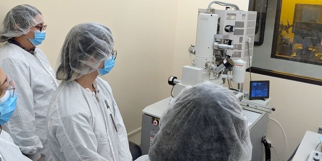 IEEE and Academia Are Creating Microcredential Programs