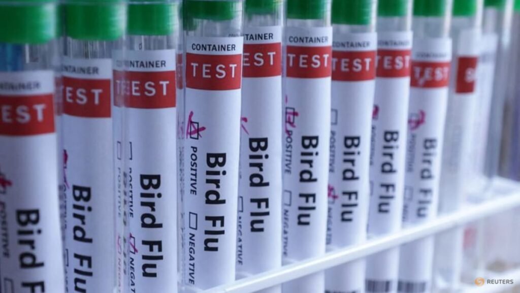New Zealand detects H5 bird flu