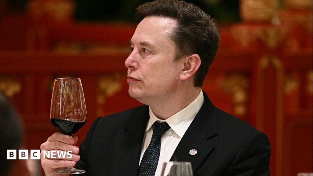‘Let’s enjoy the ride’ says Elon Musk, as AI risk concerns mount