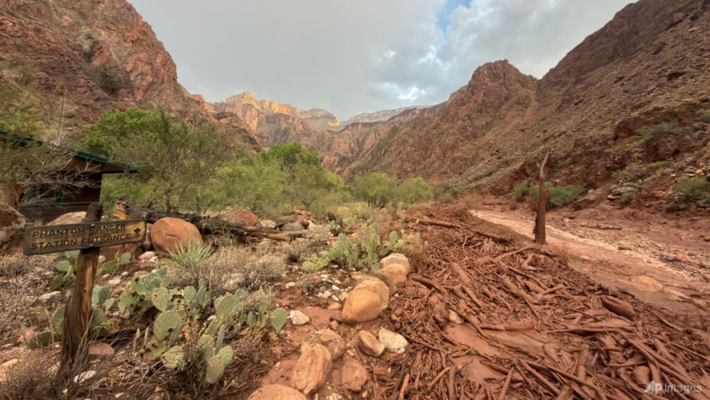 About 15 people missing after flash flood at Grand Canyon