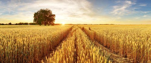 New Forever Chemicals Coming To US Farms